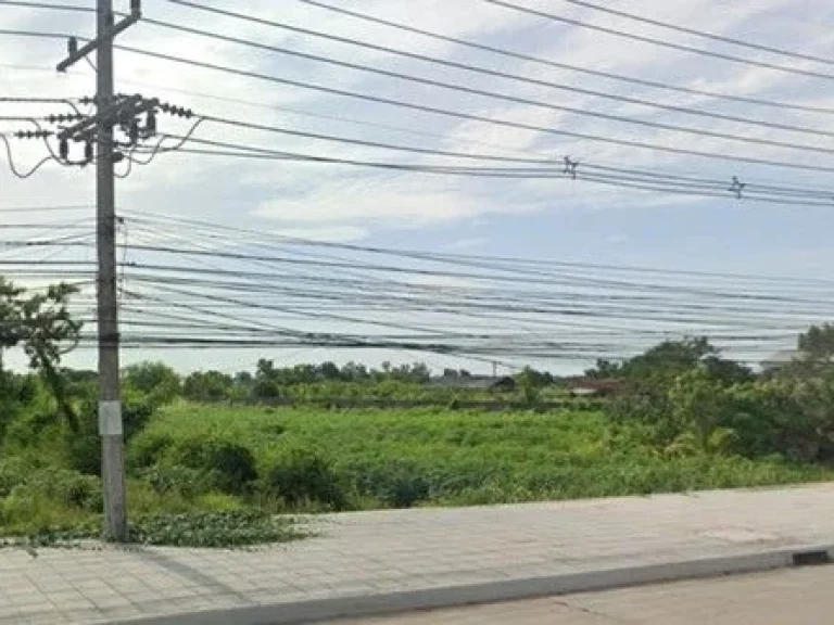 ขายที่ดิน 8 ไร่ ติดถนนสุขุมวิท สัตหีบ ชลบุรี