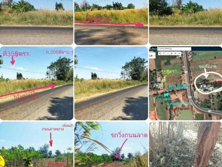 ขายที่แปลงสวย355ตรวติดลางยางติดบ้านน้ำไฟพร้อมใกล้โลตัสพิมาย12กม