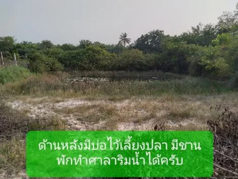 ที่ดินถมแล้ว 1 ไร่ สวย ถูก บรรยากาศดี ทำบ้านสวนปี 54 น้ำไม่ท่วม