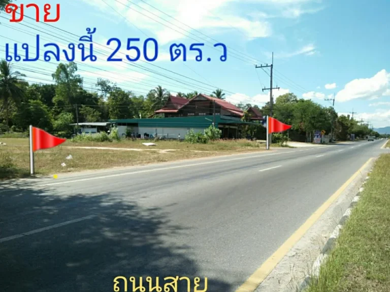 ด่วนที่ดินสวย 250 ตรว ติดถนน 4 เลน สายมุกดาหาร-คำชะอี ทำเลดี ทำเลค้าขาย