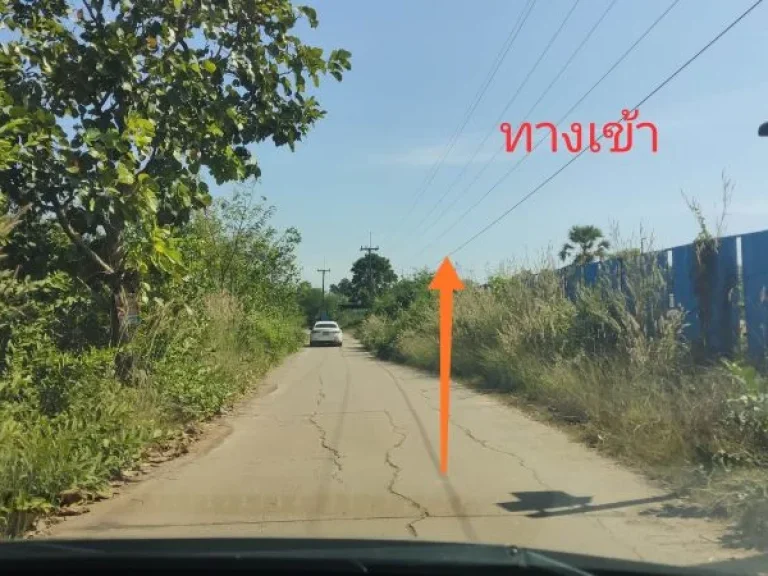 ด่วน ขายที่ดิน หลังปั๊มบางจาก ตรงแยกบ้านผือ