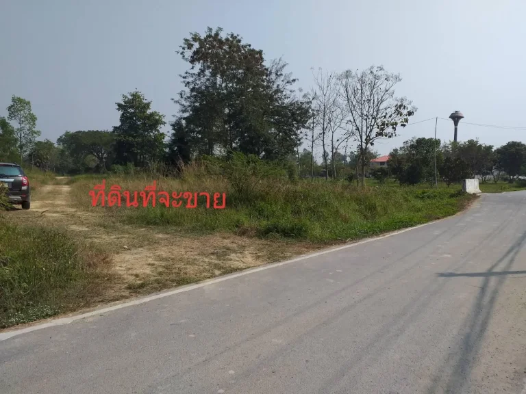 ขายที่ดิน3ไร่ในชุมชนบ้านป่าลานหมู่3ตป่าลาน อดอยสะเก็ด อยู่ในชุมชนถมดินแล้ว ขายถูกๆ