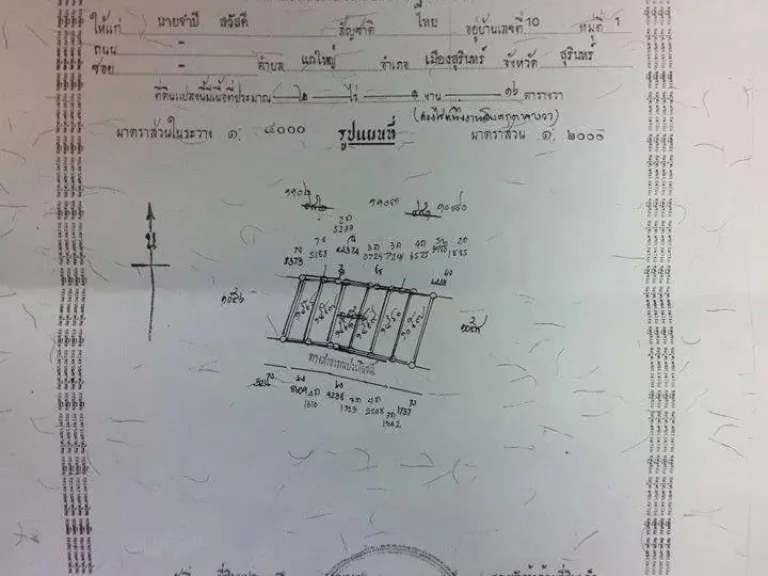 แบ่งขายที่ดินแกใหญ่ด่วนร้อนเงิน 2 ไร่ 1 งาน 16 ตารางวา