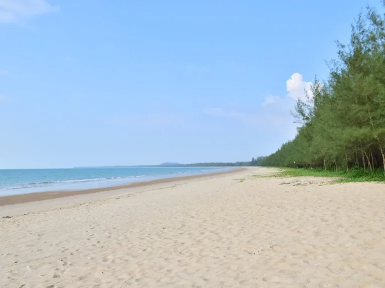 ขายที่ดินติดชายหาด ทรายขาว น้ำใส โฉนด 25 ไร่