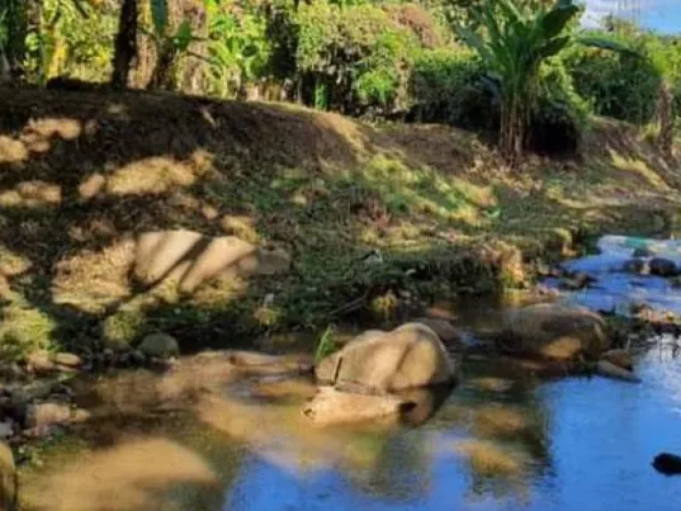 ขายที่ดินปางจำปี ติดถนน ติดธารน้ำ ดอยสะเก็ต ราคาถูก