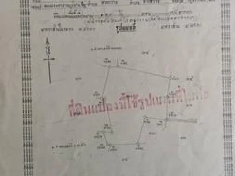 ขายที่ดินมีโฉนด พร้อมสวนป่าไม้ธรรมชาติจำนวน 129 ไร่ อหันคา จชัยนาท