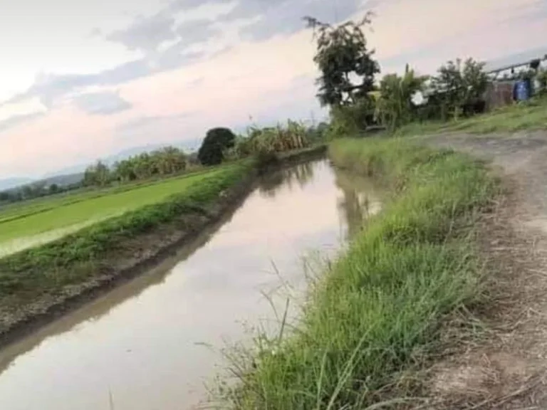 ขายที่ดินแม่ริม ติดลำเหมือง ราคาถูก