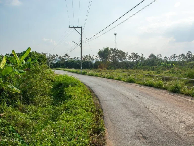 ที่ดินลำพูนโฉนดเกือบ5ไร่เหมาะทำการเกษตรทำฟาร์มผักเลี้ยงสัตว์ใกล้ถนนหลักทล1033เพียง 500เมตร