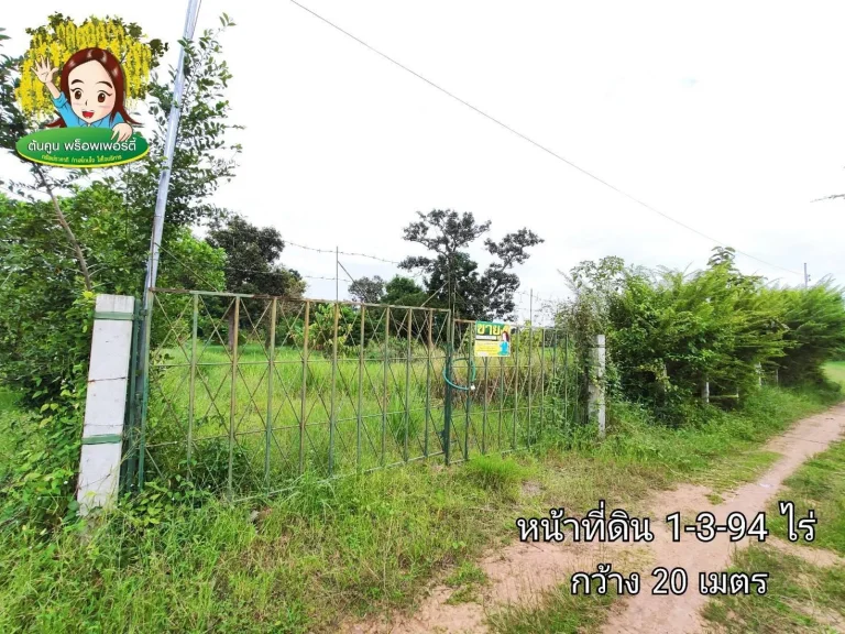 ขายที่นา บ้านนาอุดม ขามใหญ่ เมืองอุบล