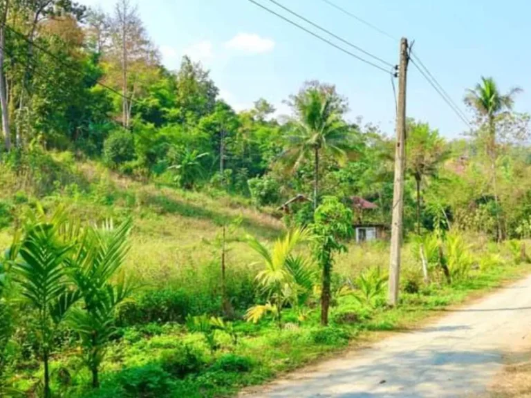 ขายที่ดินเนินวิวสวย ถนนคอนกรีต แม่วางแม่วิน ราคาถูก