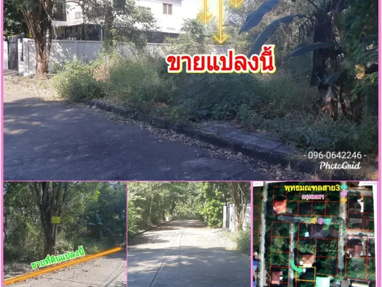 ขายที่ดิน 82ตรว ถนนพุทธมณฑลสาย3 ซ184 มกฤษดานคร18 ตลิ่งชัน กรุงเทพฯ