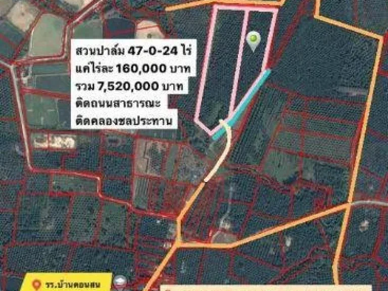 ขายสวนปาล์ม 47-0-24 ไร่ ตท่าทอง อกาญจนดิษฐ์ จสุราษฎร์ธานี ราคาถูก