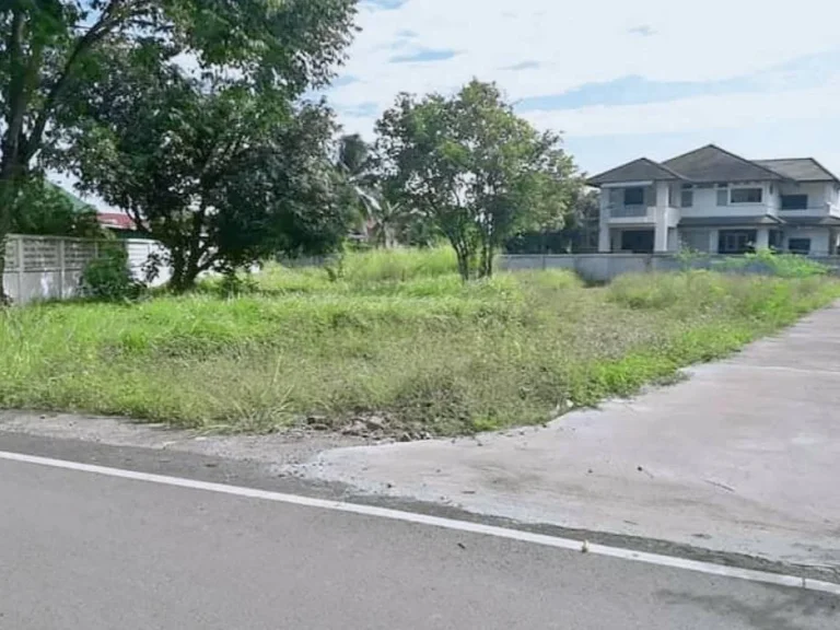 ขายที่ดินดอนแก้ว ติดถนนสองด้าน ในโครงการ ราคาถูก