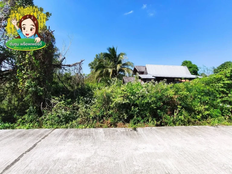 ขายที่ดินในซอยตำรวจ ม่วงสามสิบ อุบล