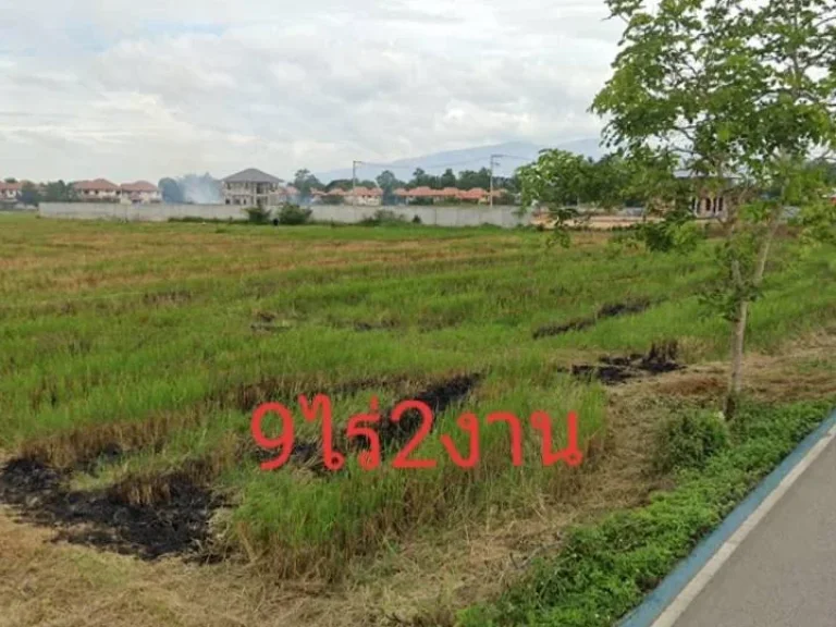 ฿ขายที่ดินใกล้เมือง9ไร่2งาน quotที่นาติดถนนquotอยู่ตสันนาเม็งอสันทรายผังเมืองสีเหลืองทำจัดสรรได้ขายถูกๆ