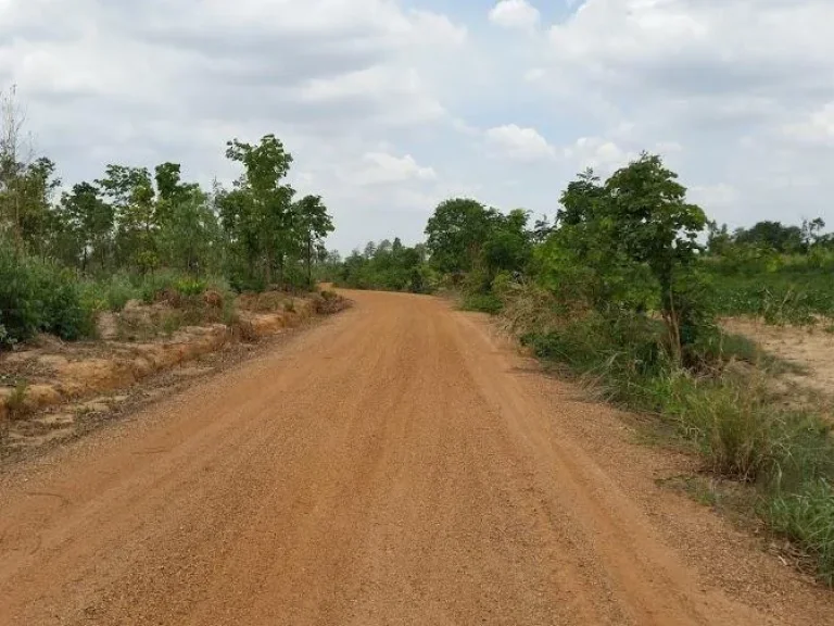 ขายที่ดินบ้านหนองกอย 14ไร่ 3งาน 73 ตรว