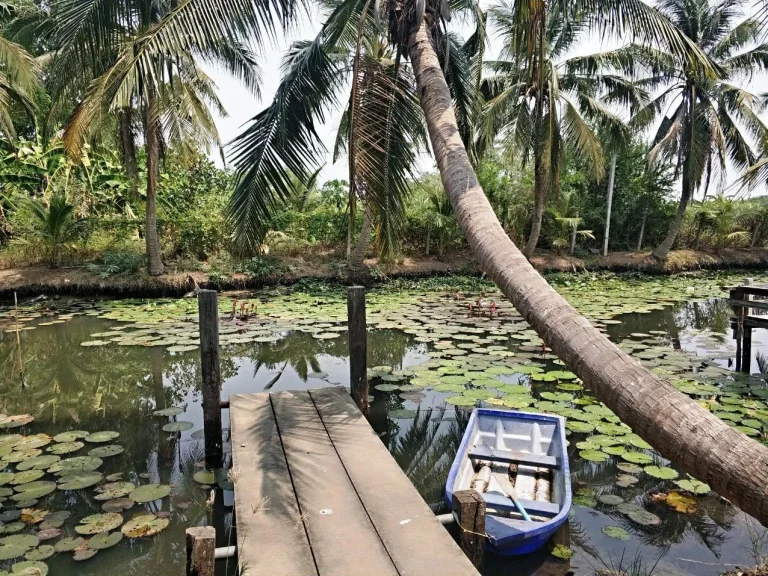 ขายบ้านสวนเรือนไทย 2 หลัง ศาลา 2 หลัง ทีดิน 6 ไร่กว่า สามชุก สุพรรณ