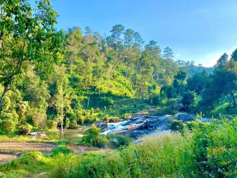 ขายที่ดินในหุบเขาติดลำธาร แม่วิน แม่วาง บรรยากาศสุดคุ้ม