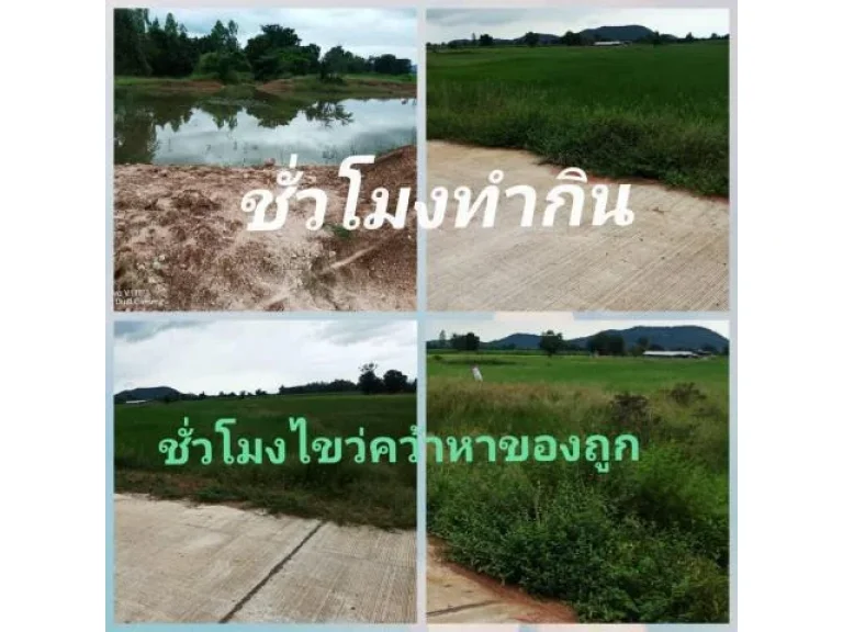 ณตรงนี้ต้องขยาย มุ่งหน้าหาแปลงที่ถูกใจ ไปถึงที่ฝันถูกเป็นอันดับแรก แล้วความพร้อมก็ตามมา ไร่ละ 15แสน ฟังไม่ผิดหรอกครับ เพื่อใครที่ใจชอบ