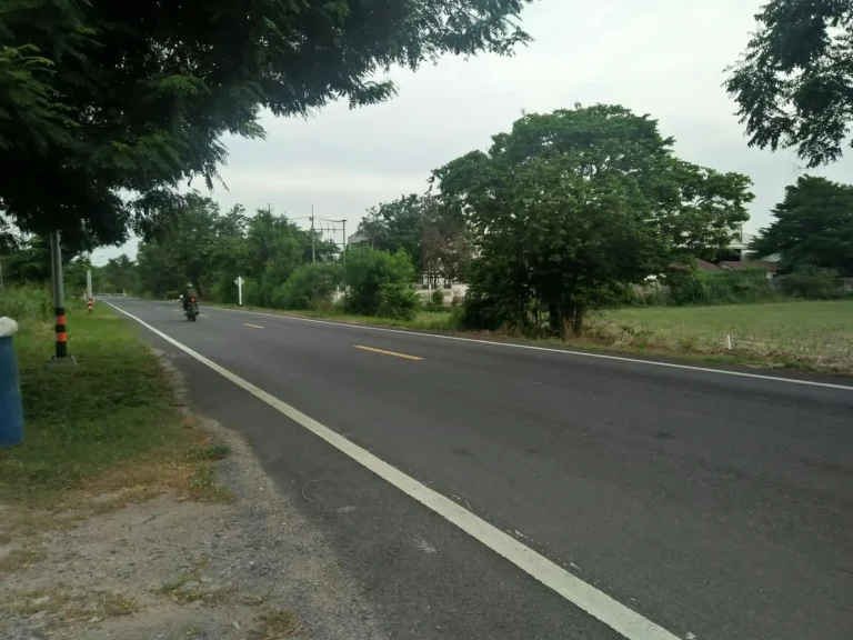 ขายที่ดินติดถนนลาดยาง2ไร่หลังติดคลองป่าแดง หนองอิรุณ บ้านบึง ชลบุรี