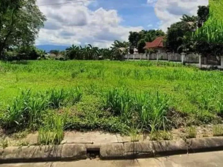 ขายที่ดินในโครงการ ใกล้เมือง ถนนคอนกรีต ราคาถูก