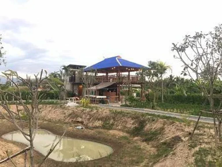 Land Farm for sale Chiang Mai