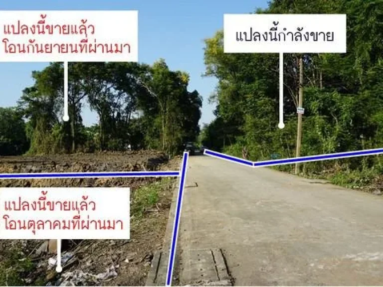 ที่ดินราคาถูก 195 ตรว ทางด่วน ด่านศรีสมาน