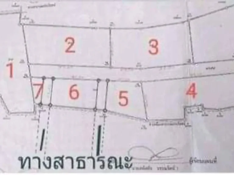 ขายที่ดินช้างเผือก เหมาะกับการลงทุน ราคาถูก