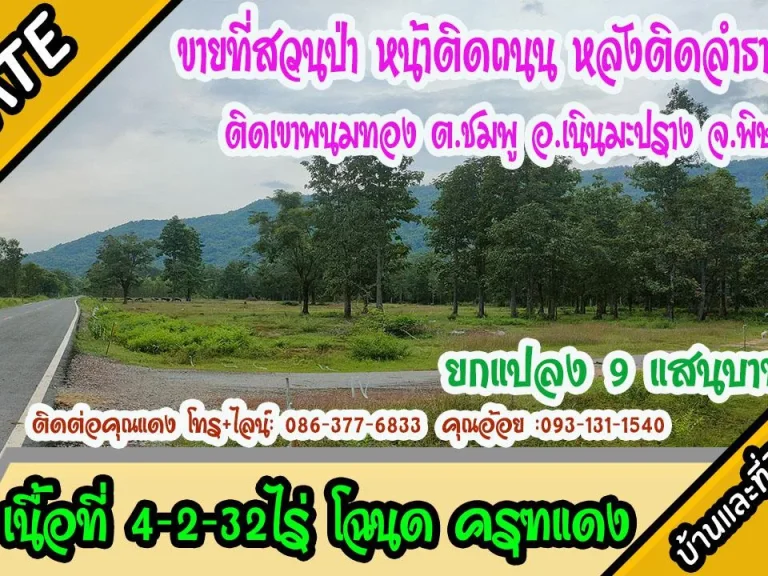 ขายสวนป่าหน้าติดถนน หลังติดภูเขา ติดลำธาร 4ไร่2งาน32ตรว ตชมพู อเนินมะปราง พิษณุโลก ยกแปลง9แสน