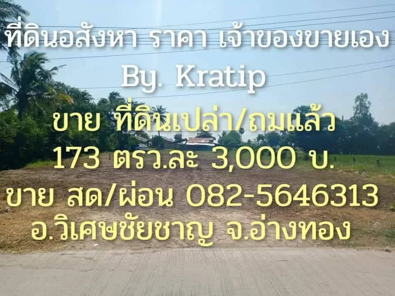 ขายที่ดินเปล่า พร้อมสร้างบ้าน วิเศษชัยชาญ อ่างทอง