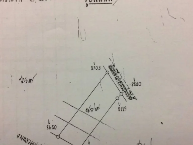 ขายที่ดินติดถนนป่าสัก ลำพูน ราคาถูก