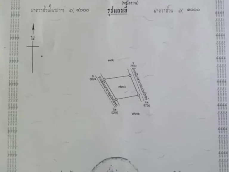 ขายที่ดินพญาชมภู สารภี ถนนคอนกรีต ราคาถูก