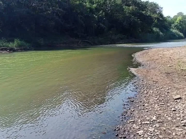 ขายที่ดินริมใต้ ติดน้ำปิง หาดทราย แม่ริม ราคาถูก