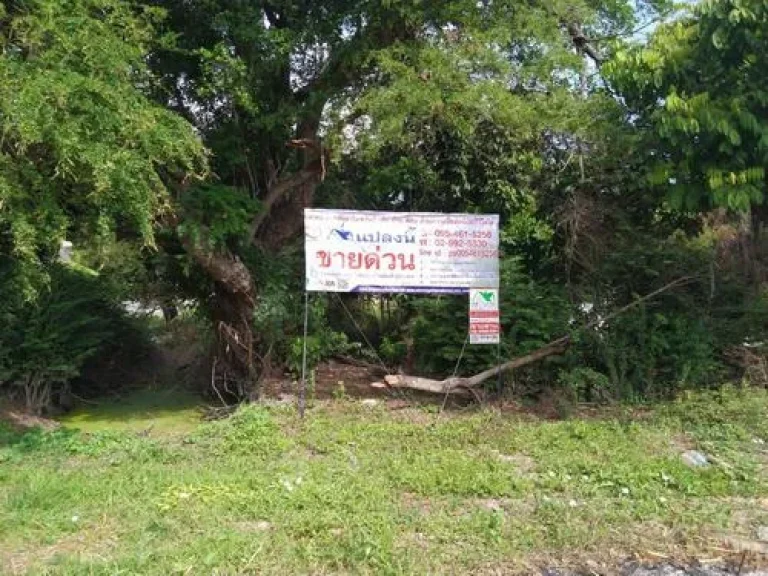 ที่ดิน 390 ตรว ซอยวัชรพล 4 เขตสายไหม กรุงเทพ