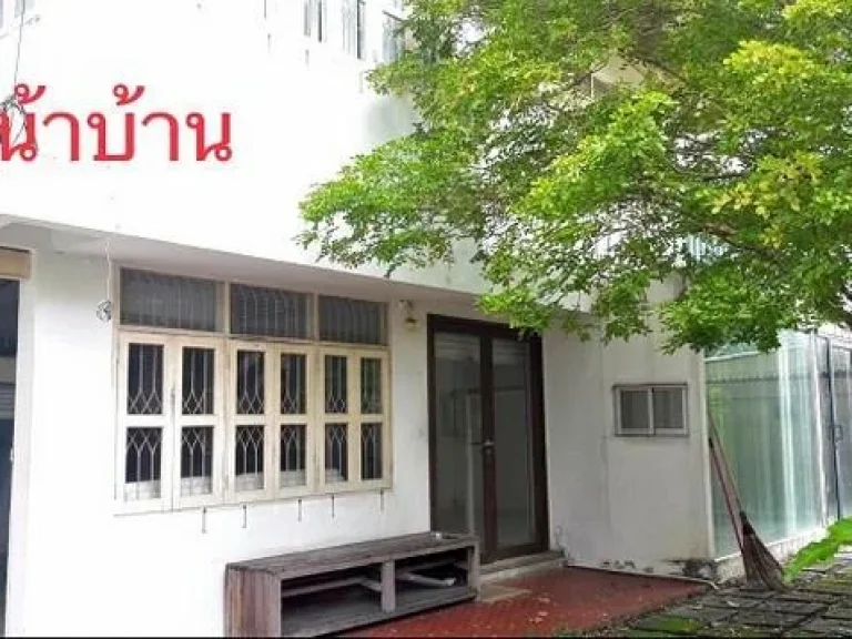 ขายบ้านเดี่ยว 56ตรว ใกล้เลียบด่วน ทาวน์อินทาวน์