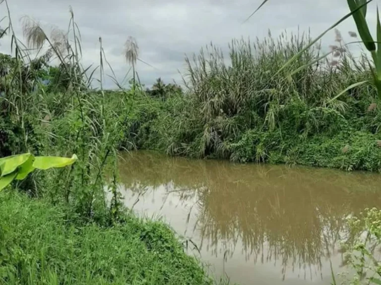 ขายที่สวนเชียงดาว ติดน้ำปิง วิวดอยหลวง ราคาถูก