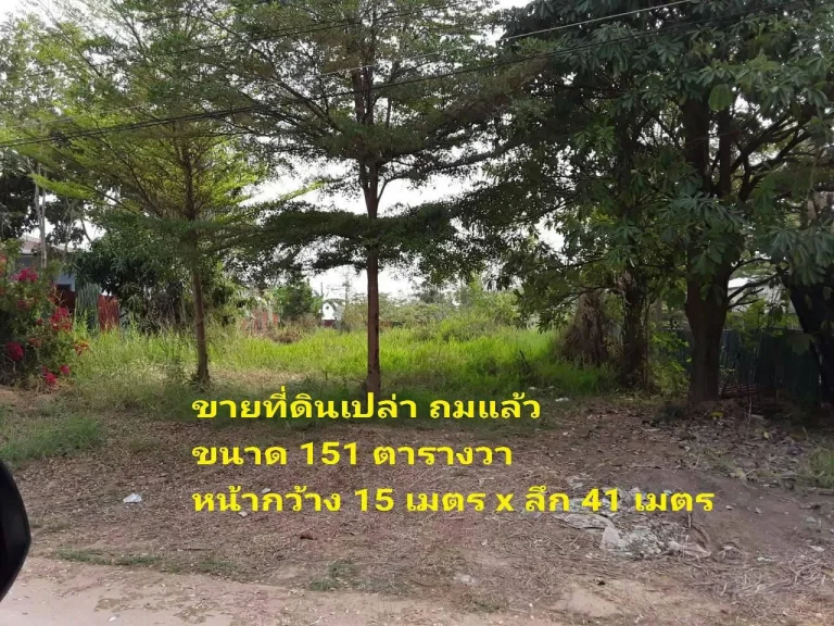 ขายที่ดินเปล่า ถมแล้ว 151 ตรวา ใกล้ อบตสมอแข เข้าซอย รรธีรธาดา