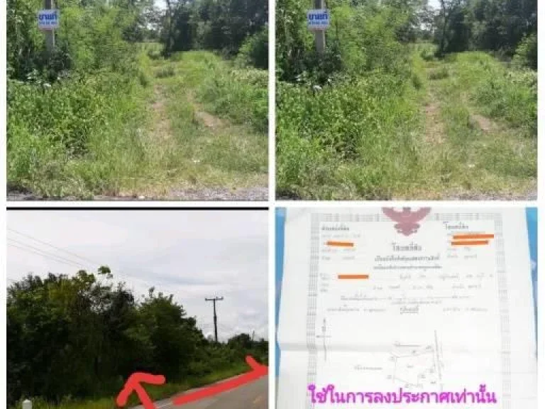 ขายที่ดินติดถนน ตำบลจอมศรี อำเภอเพ็ญ จังหวัดอุดรธานี