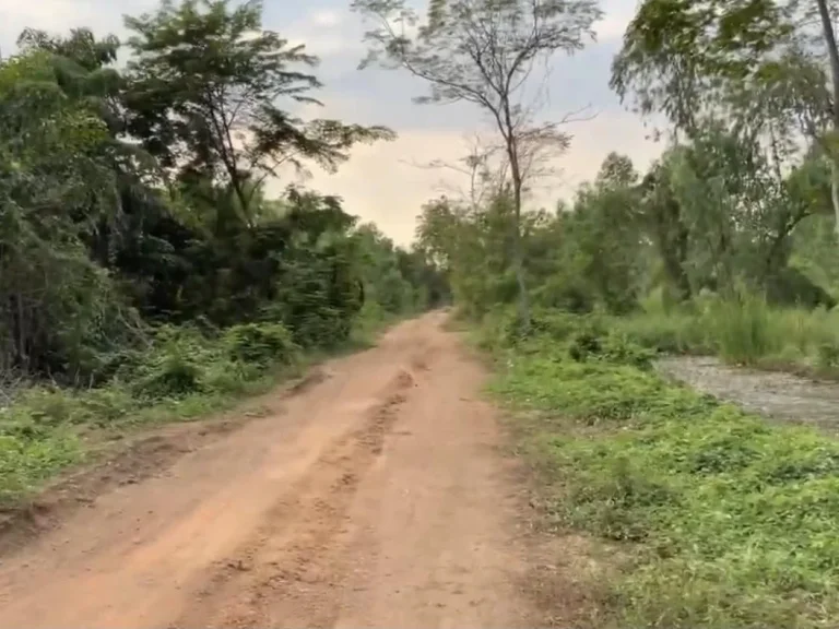 ที่ดินผ่อนได้ คลอง13 ลำลูกกา ปทุมธานี 320ตรว