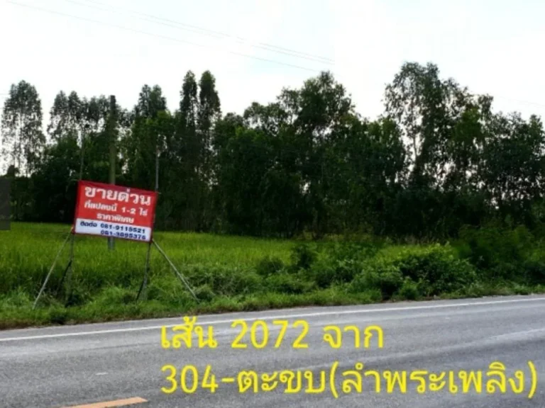 ขายที่ดินถมแล้วแปลงละ 1 ไร่ถ 2072 เส้น304-ตะขบจิมทอมป์สัน