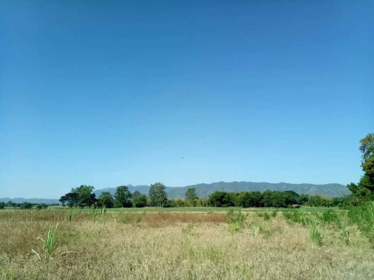 ที่นาฉโนดตำบลบ้านโตก