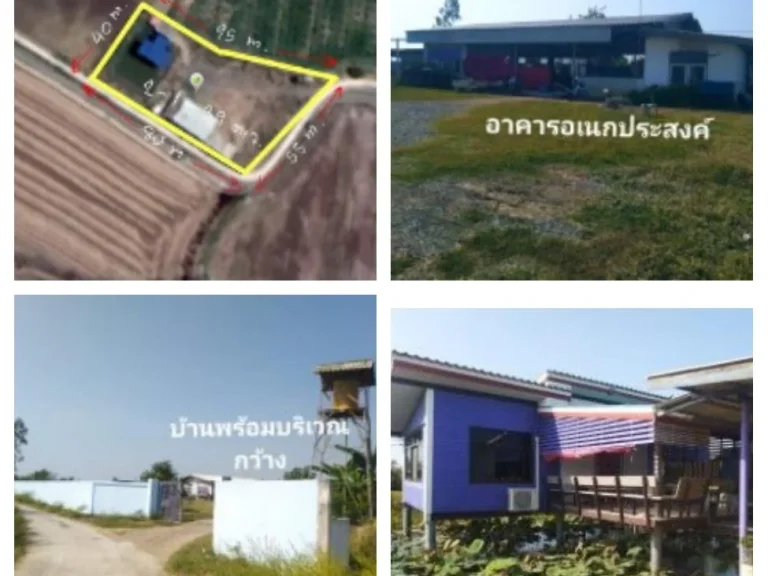 ขายบ้านสวยมีบึงบัวเลี้ยงปลาได้ มีบริเวณกว้าง 2 ไร่ 1 งาน 39 ตรว น่าอยู่อากาศดี