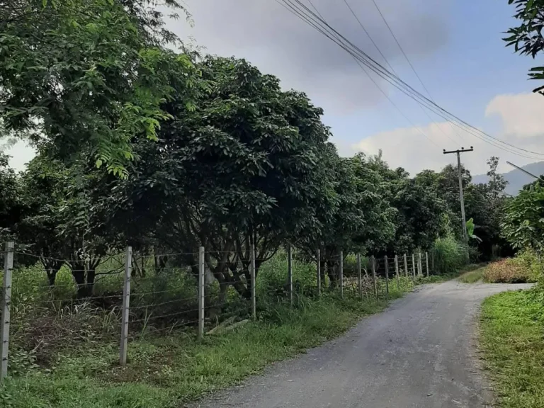 ขายที่ดินบ้านสหกรณ์ ห่างน้ำพุร้อน 900 เมตร แม่ออน