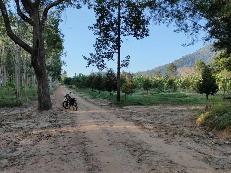 ขายที่ดิน1ไร่ เหมาะสำหรับสร้างบ้านพัก วิวภูเขา ใกล้วัดมาบจันทร์