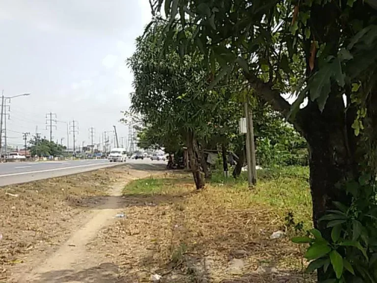 ขายที่ดินมีนบุรี ติดถนนสุวินทวงศ์ 110 เมตร เนื้อที่ 16 ไร่ ขายไร่ละ 14 ล้าน