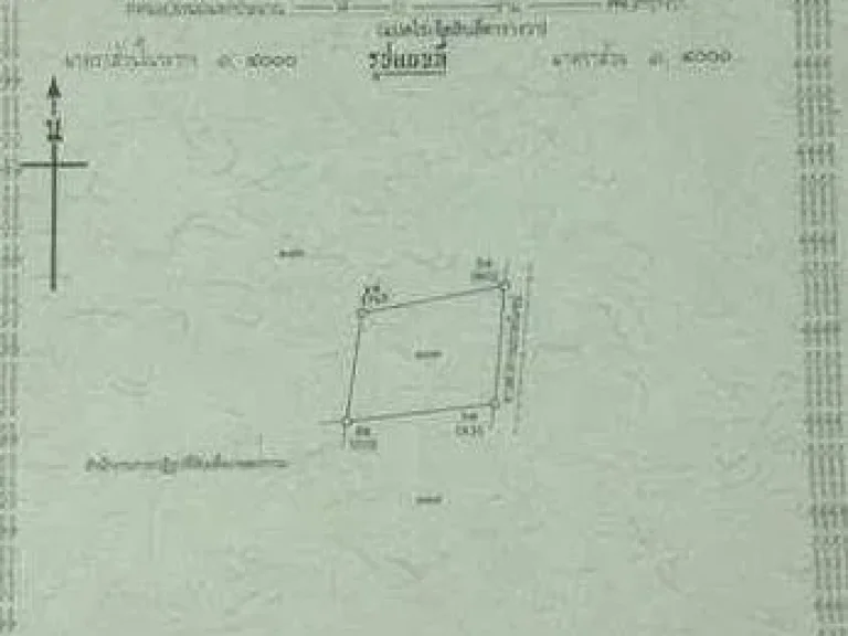 ขายที่ดิน 8 ไร่ อสูงเนิน โคราช