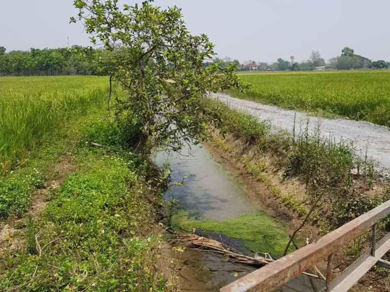 ขายที่ดินสันโป่ง แม่ริม วิวดอย ติดธารน้ำ พร้อมโอน