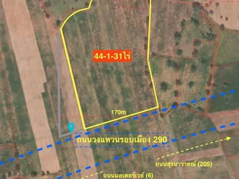 ขายที่ดิน 44-1-31ไร่ ติดถนนวงแหวน 290 หน้ากว้าง 170เมตร