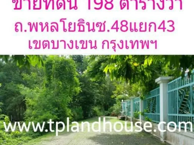 ขายที่ดิน 198 ตารางวา ถนนพหลโยธิน ซ 48 แยก 43 เขตบางเขน กรุงเทพมหานคร