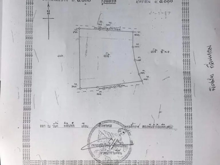 ขายที่นาจำนวน 41ไร่ 2งาน 27ตารางวา